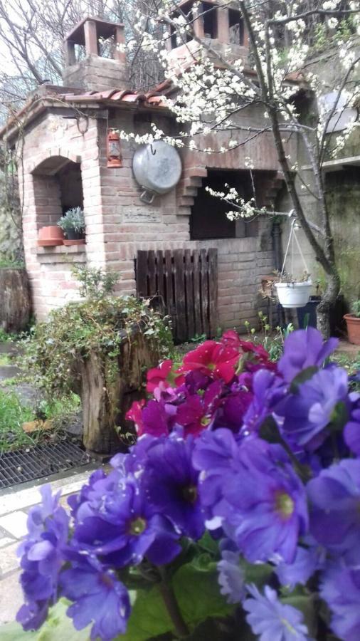 Casa Patti Alle Porte Di Siena Exterior photo